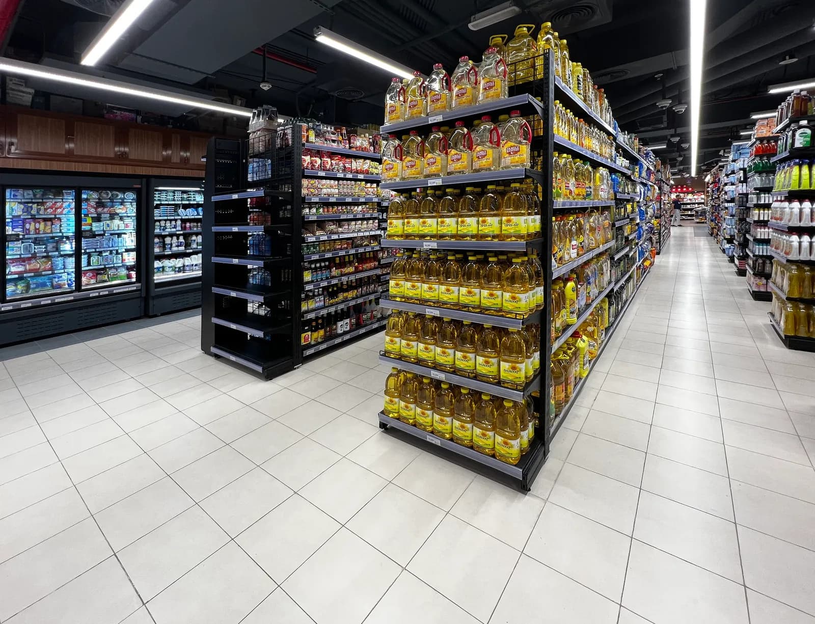 Proyecto TROLLEY Dubai de Modern Expo en Emiratos Arabes Unidos