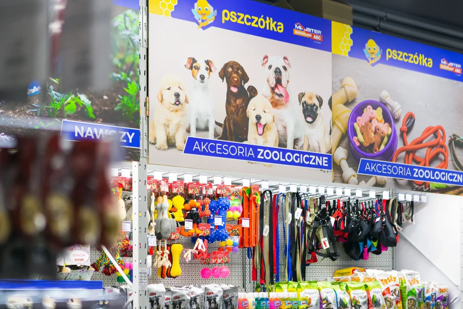 Proyecto Pszczolka de Modern Expo en Polonia - imagen 2